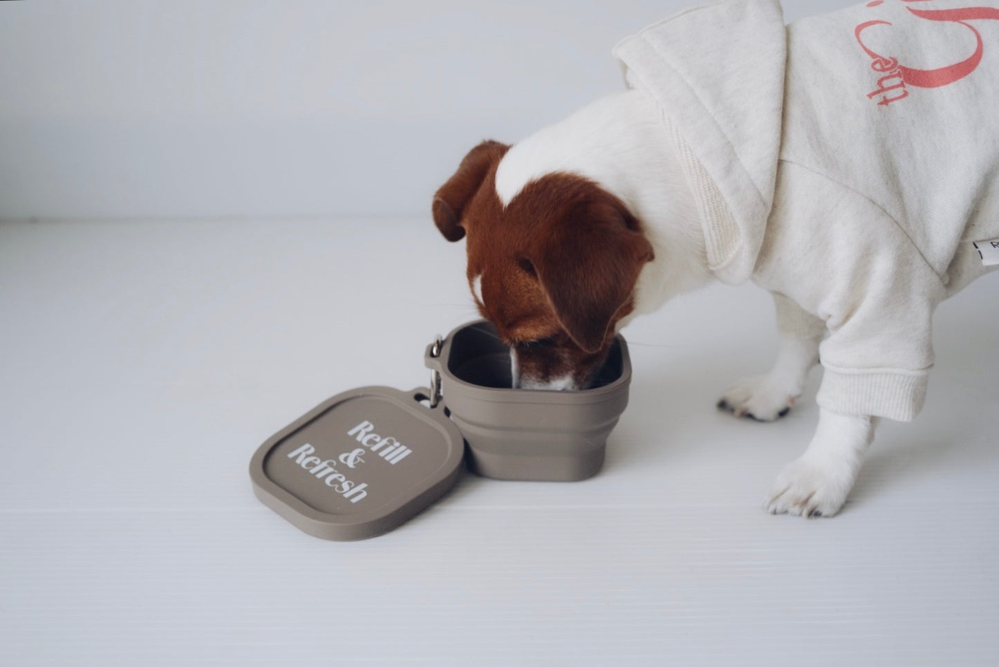 ウォーターボウル(ブラック)