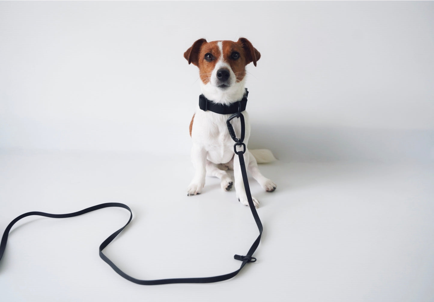 ロングリード【15m】