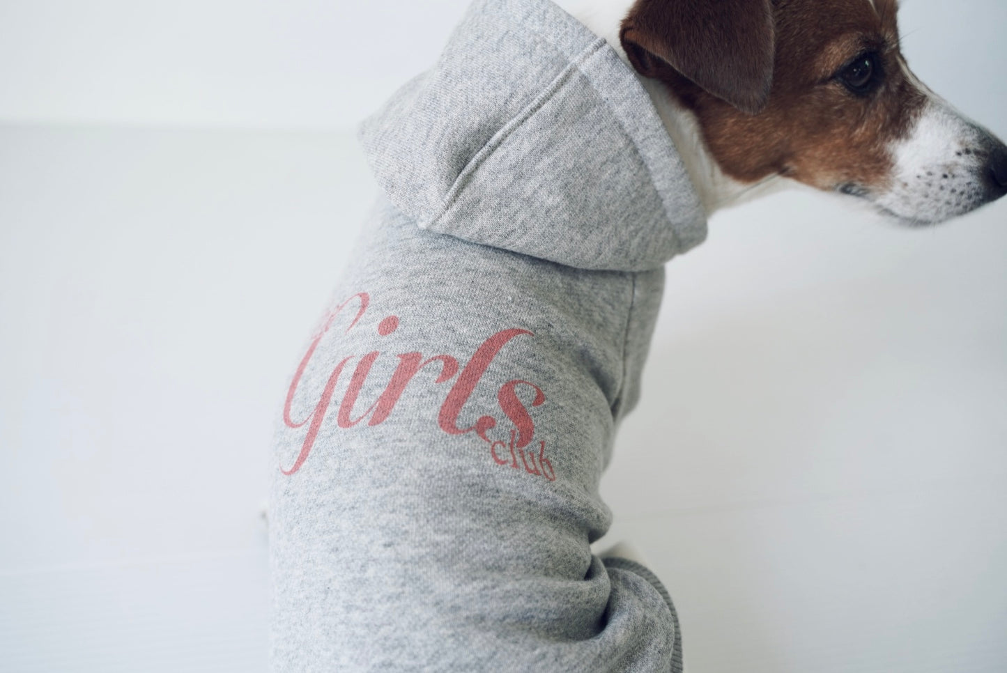Boys/Girls裏毛スウェットトップス (グレー)
