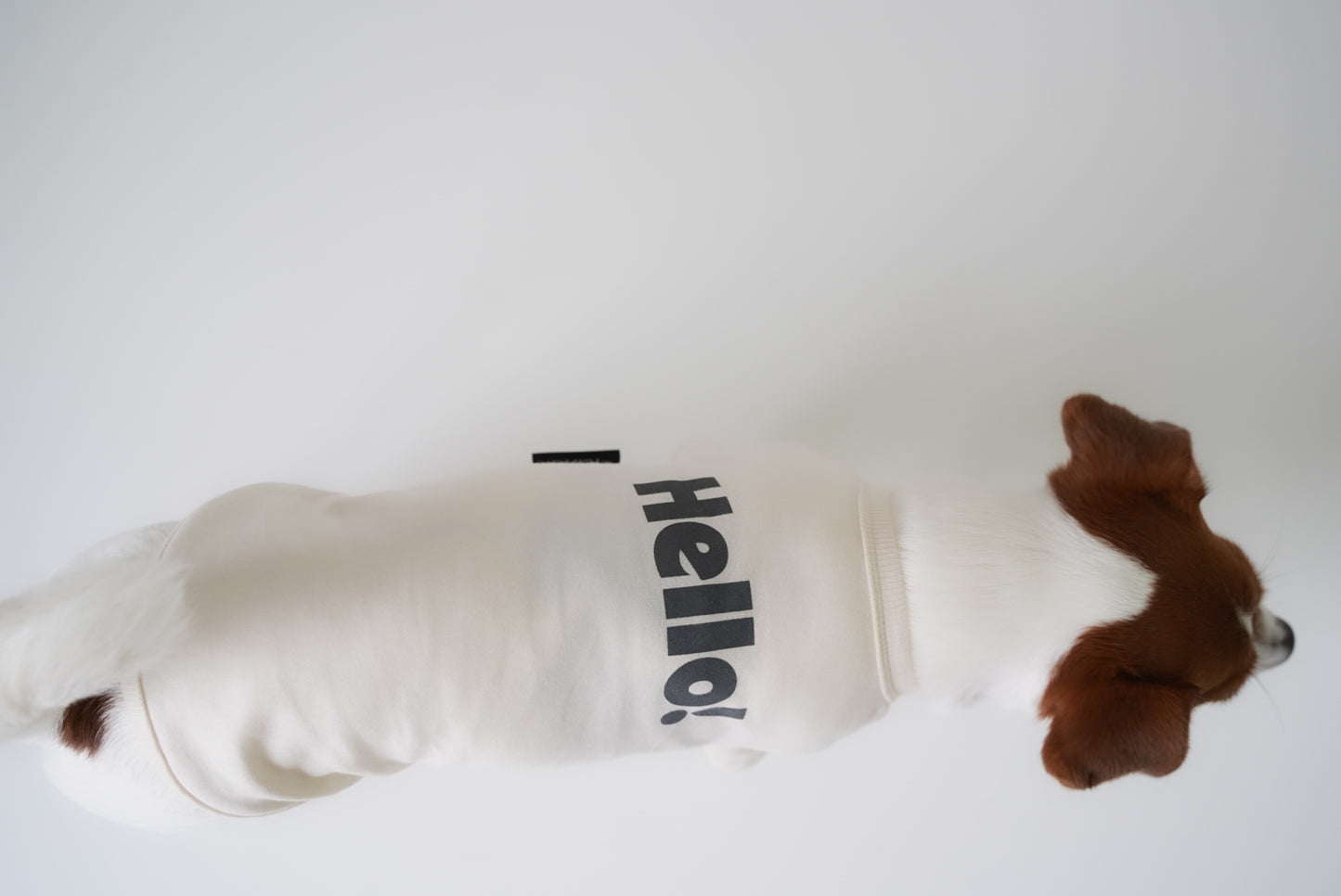 HELLO ! 半袖TEE