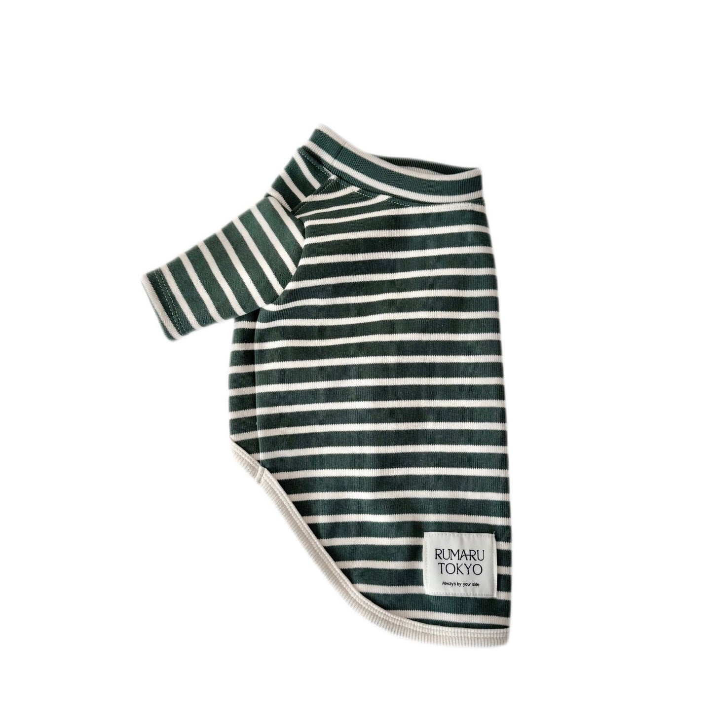 リブボーダートップス/ロンパース (グリーン)