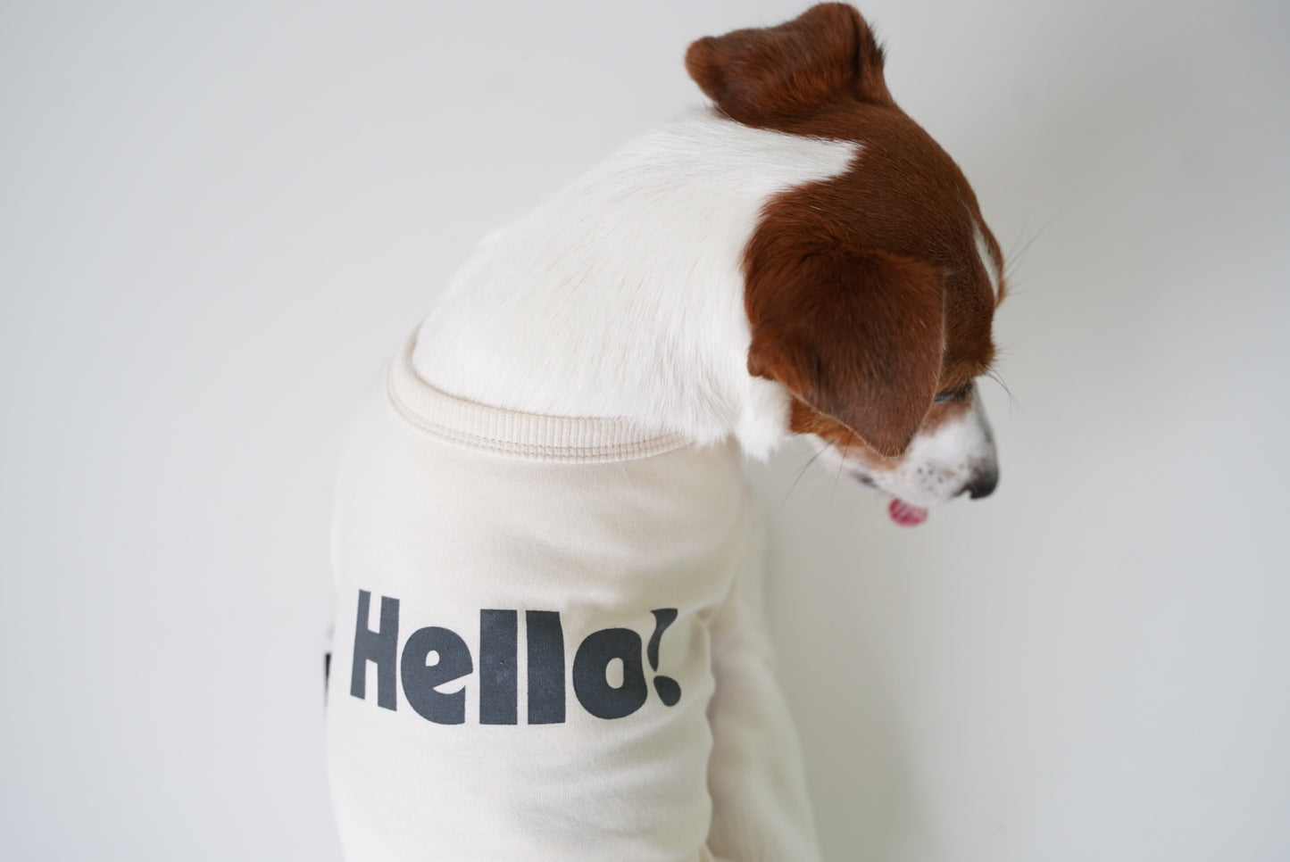 HELLO ! 半袖TEE