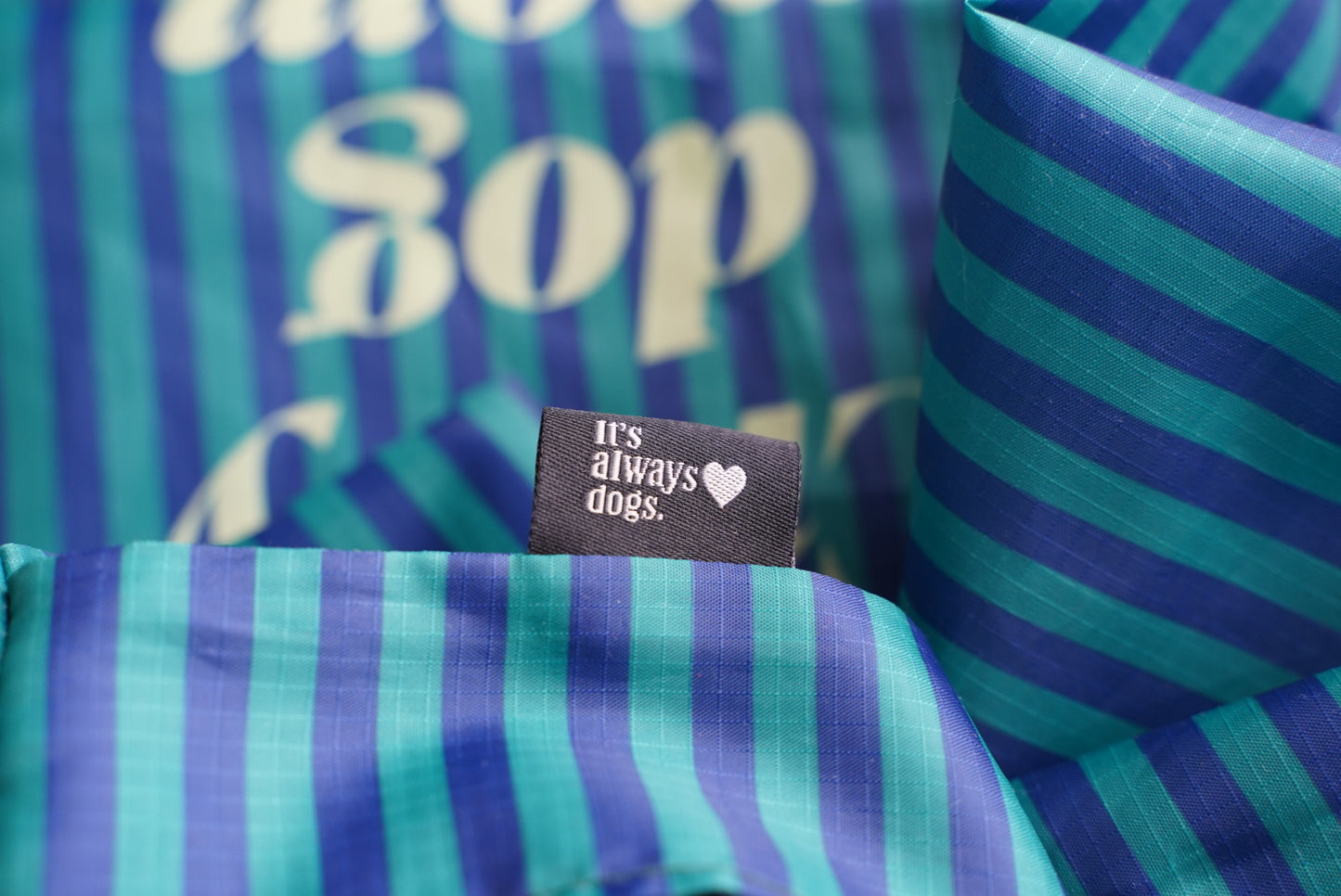 eco bag regular (green×navy stripe)