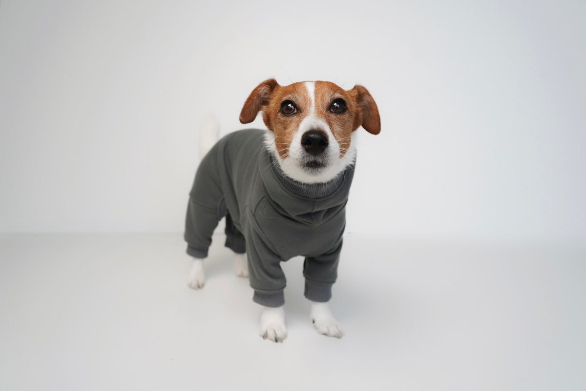 good dog club 裏毛スウェットトップス/ロンパース (オリーブ)　