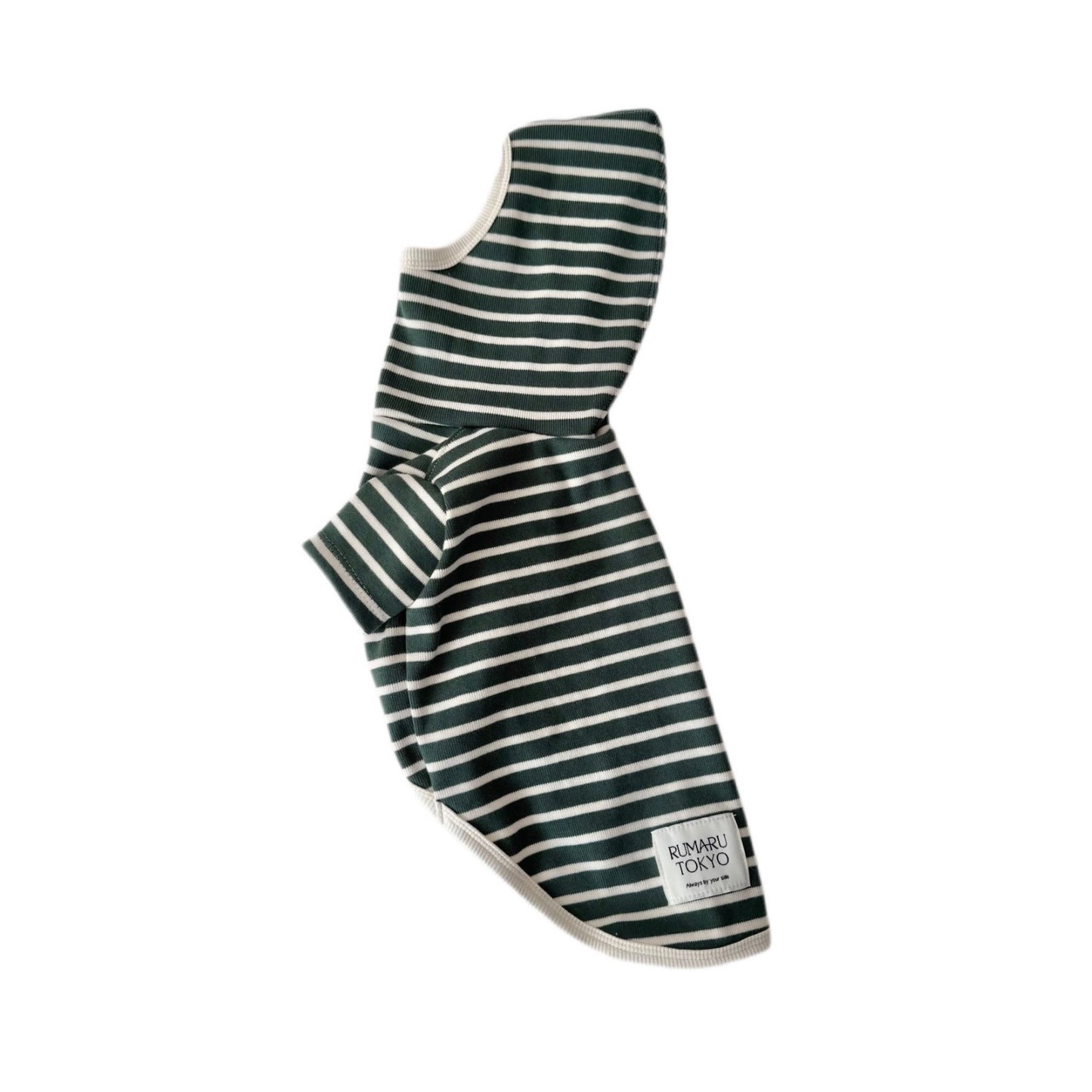 リブボーダートップス/ロンパース (グリーン)