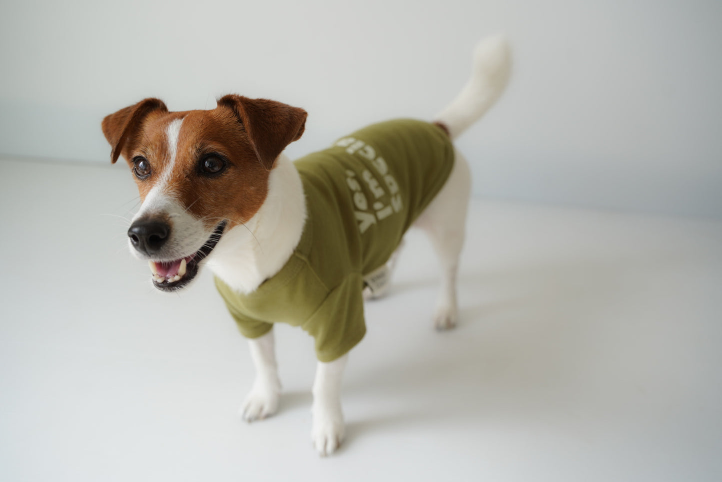 I'm Special TEE（抹茶）