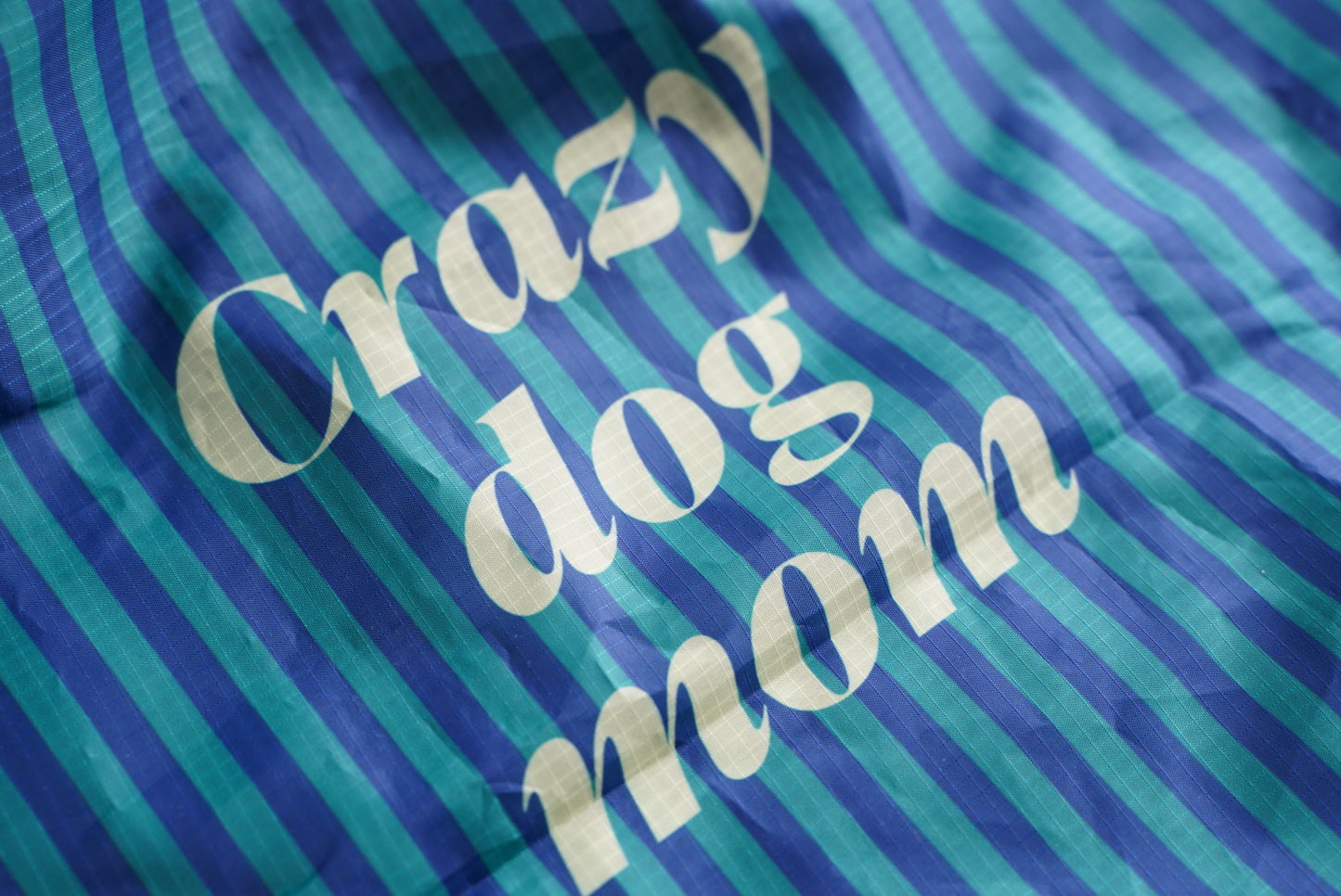 eco bag regular (green×navy stripe)