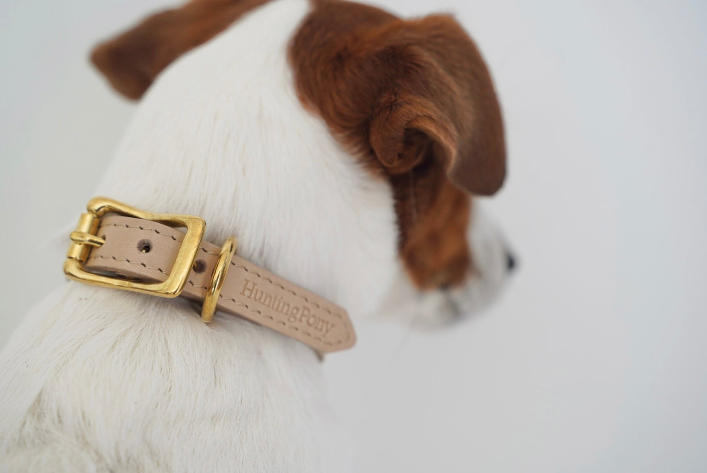 【Hunting Pony】CLASSIC STRAIGHT PONY-COLLAR