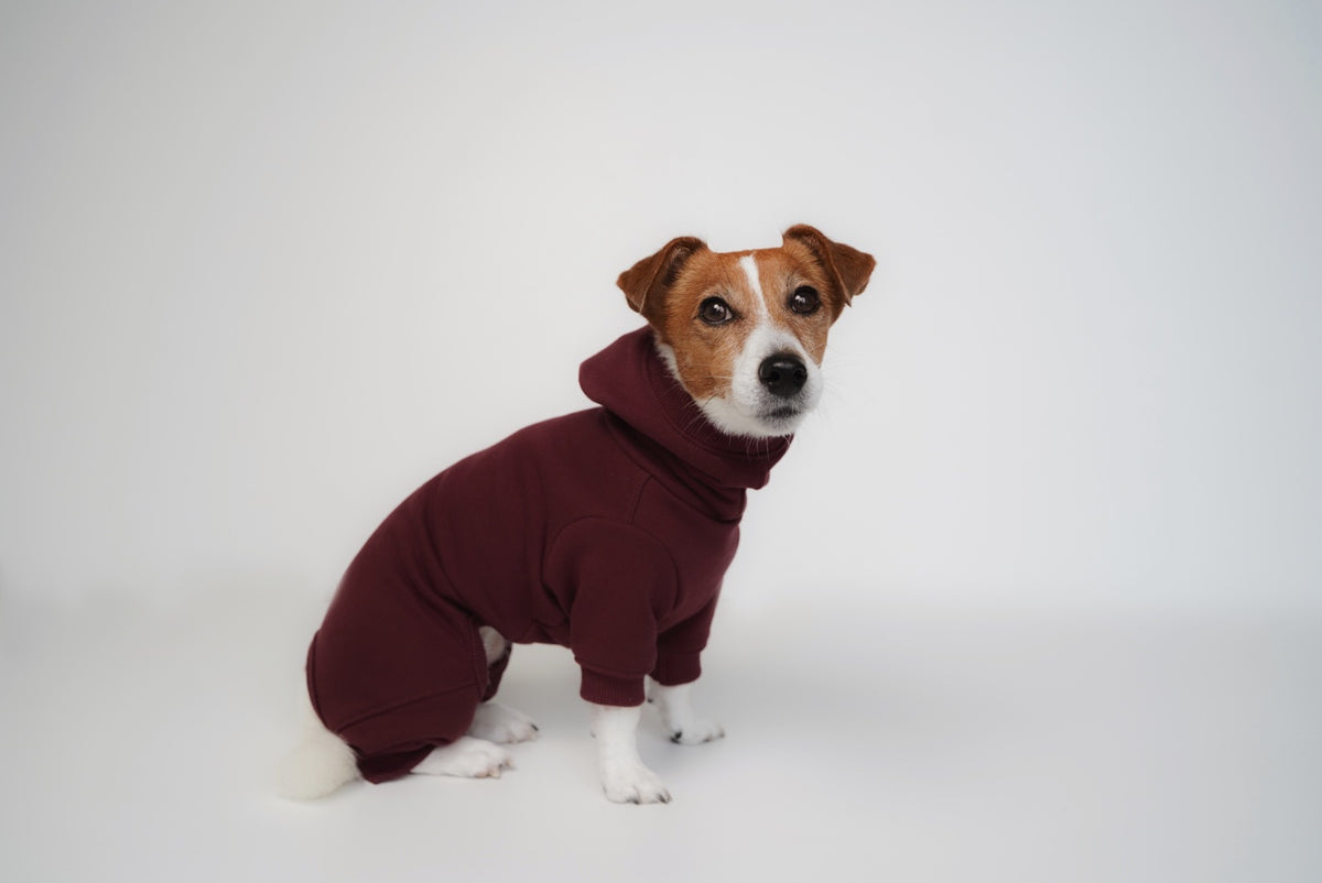 good dog club 裏毛スウェットトップス/ロンパース (ワイン)　