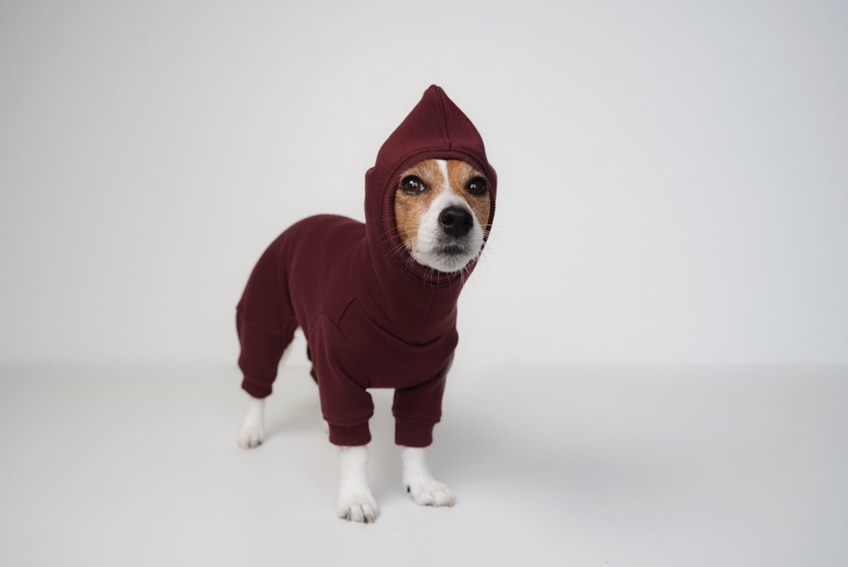 good dog club 裏毛スウェットトップス/ロンパース (ワイン)　