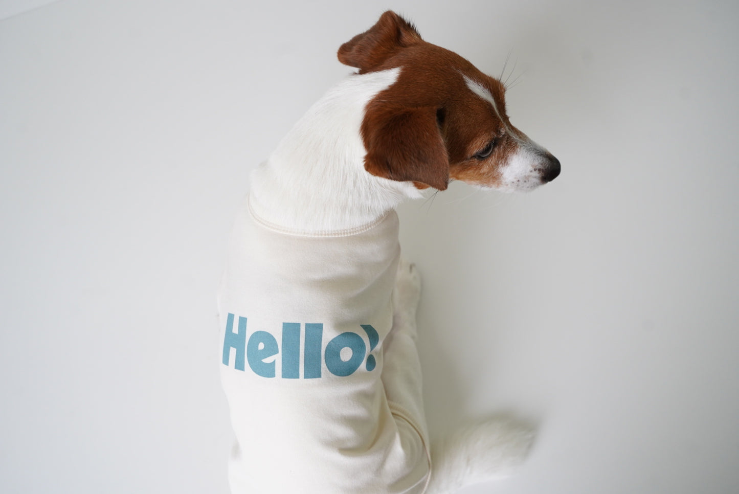 HELLO ! 半袖TEE