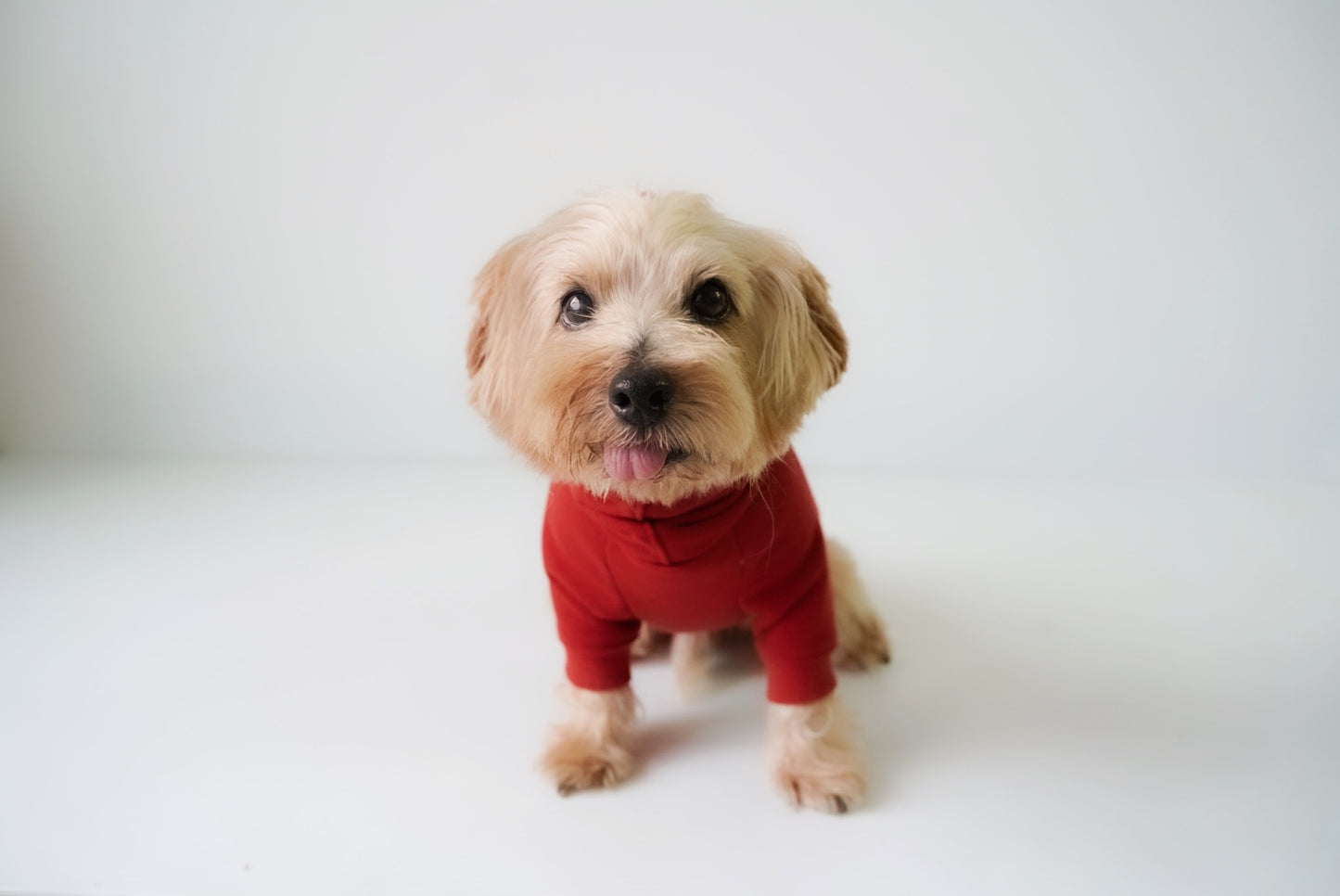 good dog club 裏毛スウェットトップス/ロンパース (レンガ)　