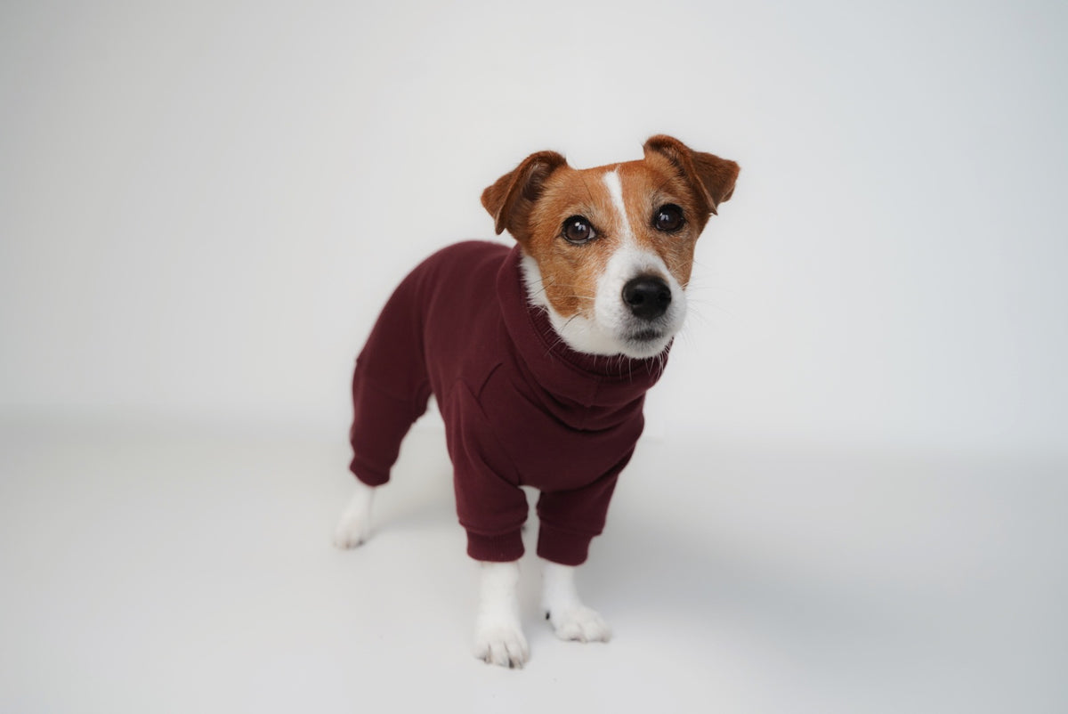 good dog club 裏毛スウェットトップス/ロンパース (ワイン)　
