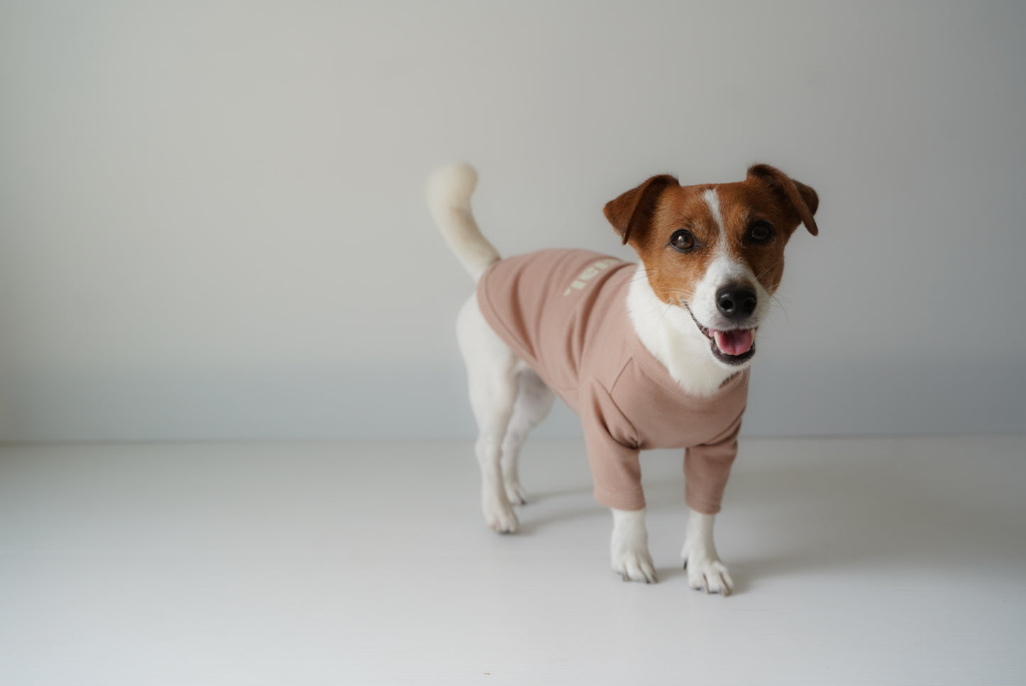 I'm Special TEE（ピンクベージュ）