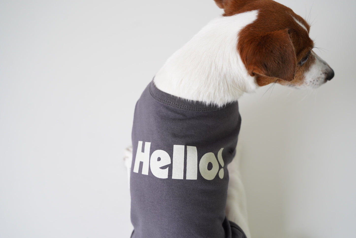 HELLO ! 半袖TEE (スミクロ)